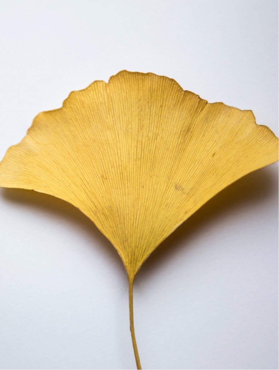 Antioxidante Ginkgo Gel Booster voor mannen