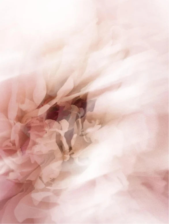 Anti-Ageing Collection Box