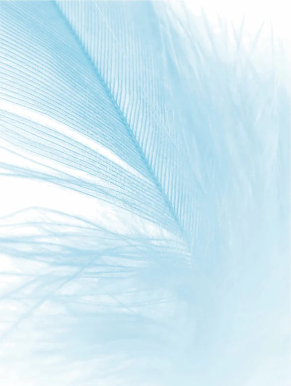 Sensitive Skin Moisturiser, Fragrance Free