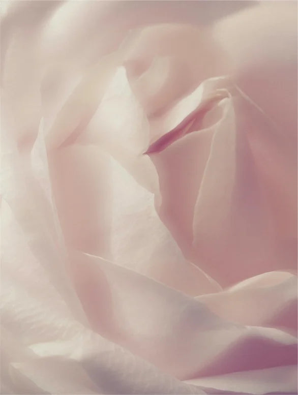 Acne Care Collection Box